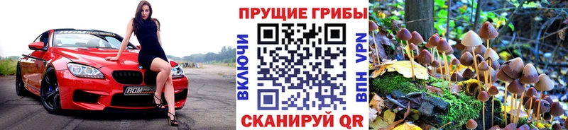 где купить наркотик  даркнет формула  Галлюциногенные грибы Magic Shrooms  Нязепетровск 
